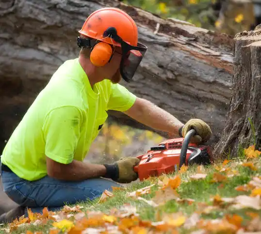 tree services Lowesville